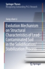 Image for Evolution Mechanism on Structural Characteristics of Lead-Contaminated Soil in the Solidification/Stabilization Process