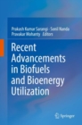 Image for Recent Advancements in Biofuels and Bioenergy Utilization