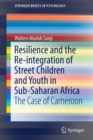 Image for Resilience and the Re-integration of Street Children and Youth in Sub-Saharan Africa : The Case of Cameroon