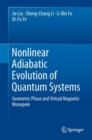 Image for Nonlinear adiabatic evolution of quantum systems: geometric phase and virtual magnetic monopole
