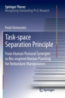 Image for Task-space Separation Principle