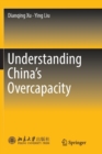 Image for Understanding China&#39;s  Overcapacity