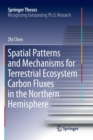 Image for Spatial Patterns and Mechanisms for Terrestrial Ecosystem Carbon Fluxes in the Northern Hemisphere