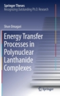 Image for Energy Transfer Processes in Polynuclear Lanthanide Complexes