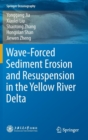 Image for Wave-Forced Sediment Erosion and Resuspension in the Yellow River Delta