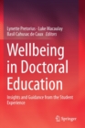 Image for Wellbeing in Doctoral Education : Insights and Guidance from the Student Experience