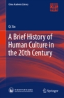 Image for A brief history of human culture in the 20th century