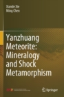 Image for Yanzhuang Meteorite: Mineralogy and Shock Metamorphism