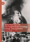 Image for More Heat Than Life: The Tangled Roots of Ecology, Energy, and Economics