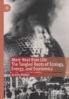 Image for More heat than life  : the tangled roots of ecology, energy, and economics