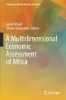 Image for A Multidimensional Economic Assessment of Africa