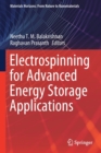 Image for Electrospinning for Advanced Energy Storage Applications