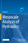 Image for Mesoscale Analysis of Hydraulics