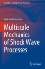 Image for Multiscale Mechanics of Shock Wave Processes