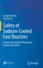 Image for Safety of Sodium-Cooled Fast Reactors : Particle-Bed-Related Phenomena in Severe Accidents
