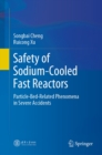 Image for Safety of Sodium-cooled Fast Reactors: Particle-bed-related Phenomena in Severe Accidents