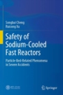 Image for Safety of sodium-cooled fast reactors  : particle-bed-related phenomena in severe accidents