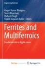 Image for Ferrites and Multiferroics : Fundamentals to Applications