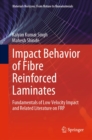 Image for Impact Behavior of Fibre Reinforced Laminates: Fundamentals of Low Velocity Impact and Related Literature on FRP