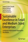 Image for Sustainable excellence in small and medium sized enterprises  : continuous improvement approaches that matter