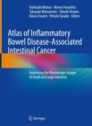 Image for Atlas of inflammatory bowel disease-associated intestinal cancer  : examining the macroscopic images of small and large intestine