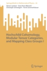 Image for Hochschild Cohomology, Modular Tensor Categories, and Mapping Class Groups I
