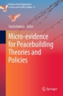 Image for Micro-evidence for Peacebuilding Theories and Policies