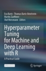 Image for Hyperparameter Tuning for Machine and Deep Learning with R