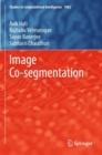Image for Image co-segmentation