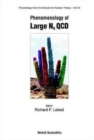 Image for Phenomenology Of Large Nc Qcd