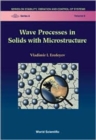 Image for Wave Processes In Solids With Microstructure