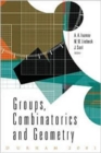Image for Groups, Combinatorics And Geometry