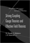 Image for Strong Coupling Gauge Theories And Effective Field Theories, Proceedings Of The 2002 International Workshop