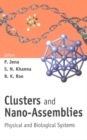 Image for Clusters and Nano-Assemblies: Physical and Biological Systems, Richmond, Virginia, USA 10 - 13 November 2003.