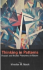 Image for Thinking in patterns: fractals and related phenomena in nature