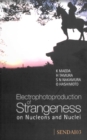 Image for Electrophotoproduction of Strangeness on Nucleons and Nuclei Sendai: Proceedings of the International Symposium, Sendai, Japan 16-18 June 2003.