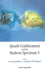 Image for Quark confinement and the hadron spectrum V: Gargnano, Italy, 10-14 September 2002