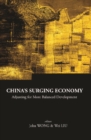 Image for China&#39;s surging economy: adjusting for more balanced development : v. 11