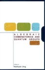 Image for Algebraic combinatorics and quantum groups