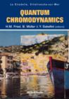 Image for Quantum Chromodynamics - Proceedings Of The Fifth Workshop