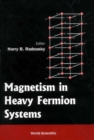 Image for Magnetism in Heavy Fermion Systems.