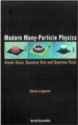Image for Modern Many-particle Physics: Atomic Gases, Quantum Dots and Quantum Fluids