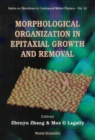 Image for Morphological Organization in Epitaxial Growth and Removal.