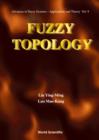 Image for Fuzzy topology