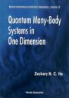 Image for Quantum Many-body Systems In One Dimension