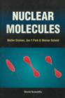 Image for Theory of Nuclear Molecular Phenomena.