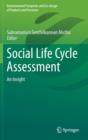 Image for Social Life Cycle Assessment : An Insight