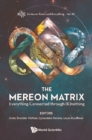 Image for The Mereon matrix: everything connected through (k)nothing