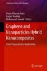 Image for Graphene and Nanoparticles Hybrid Nanocomposites : From Preparation to Applications