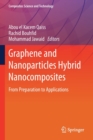 Image for Graphene and Nanoparticles Hybrid Nanocomposites